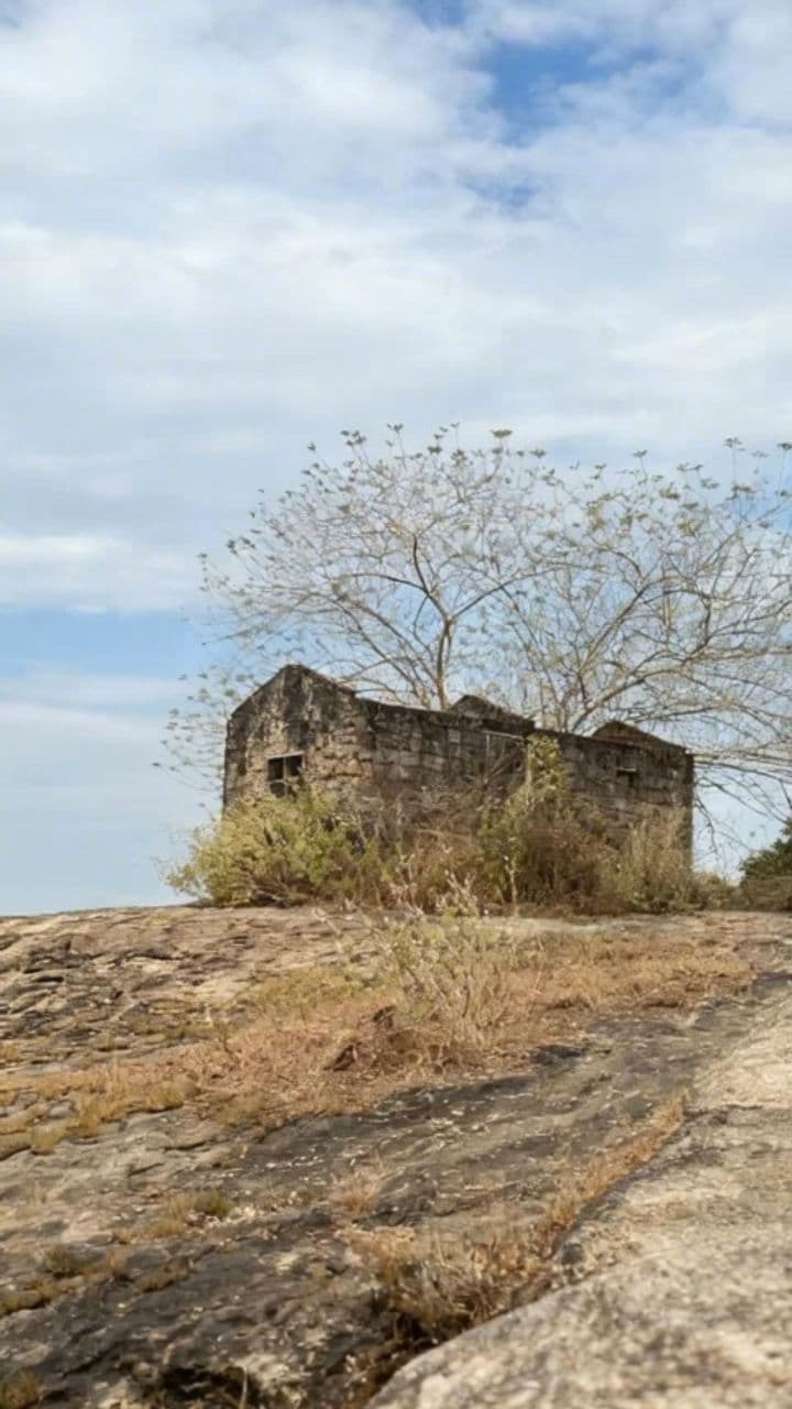 Image transform video