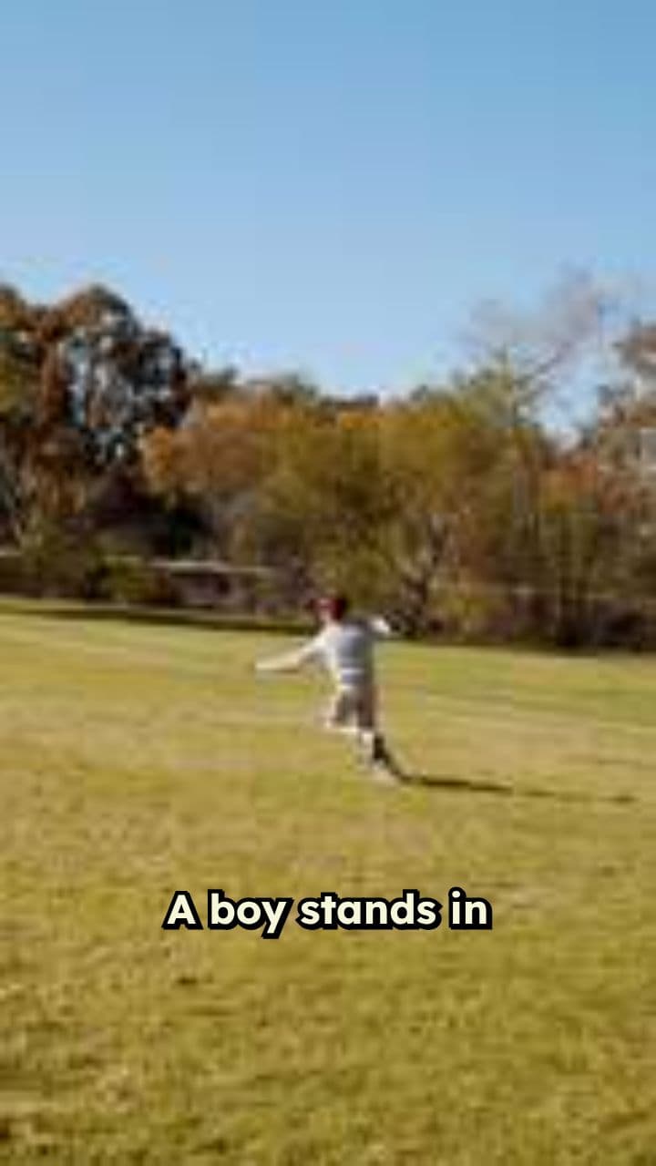 Flying Dreams in an Open Field