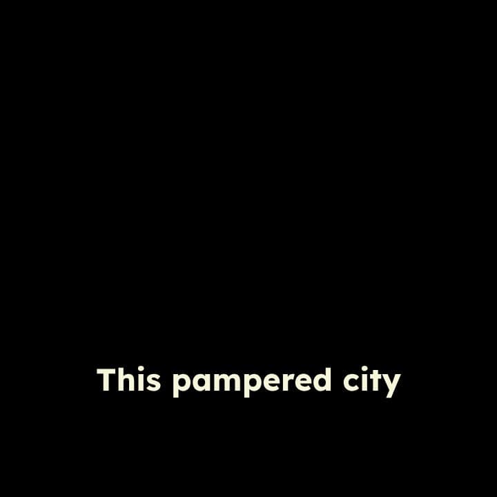 From Stray to Snuggly: Finnegan's Journey