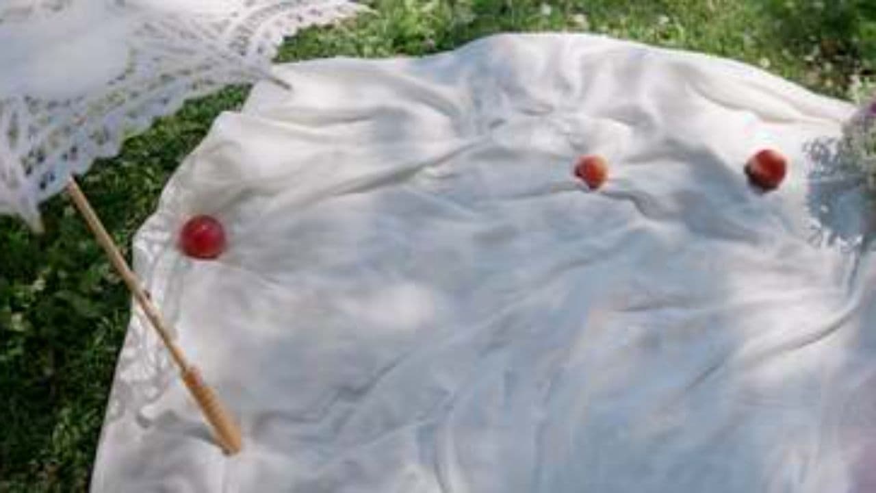 Open Picnic Adventure