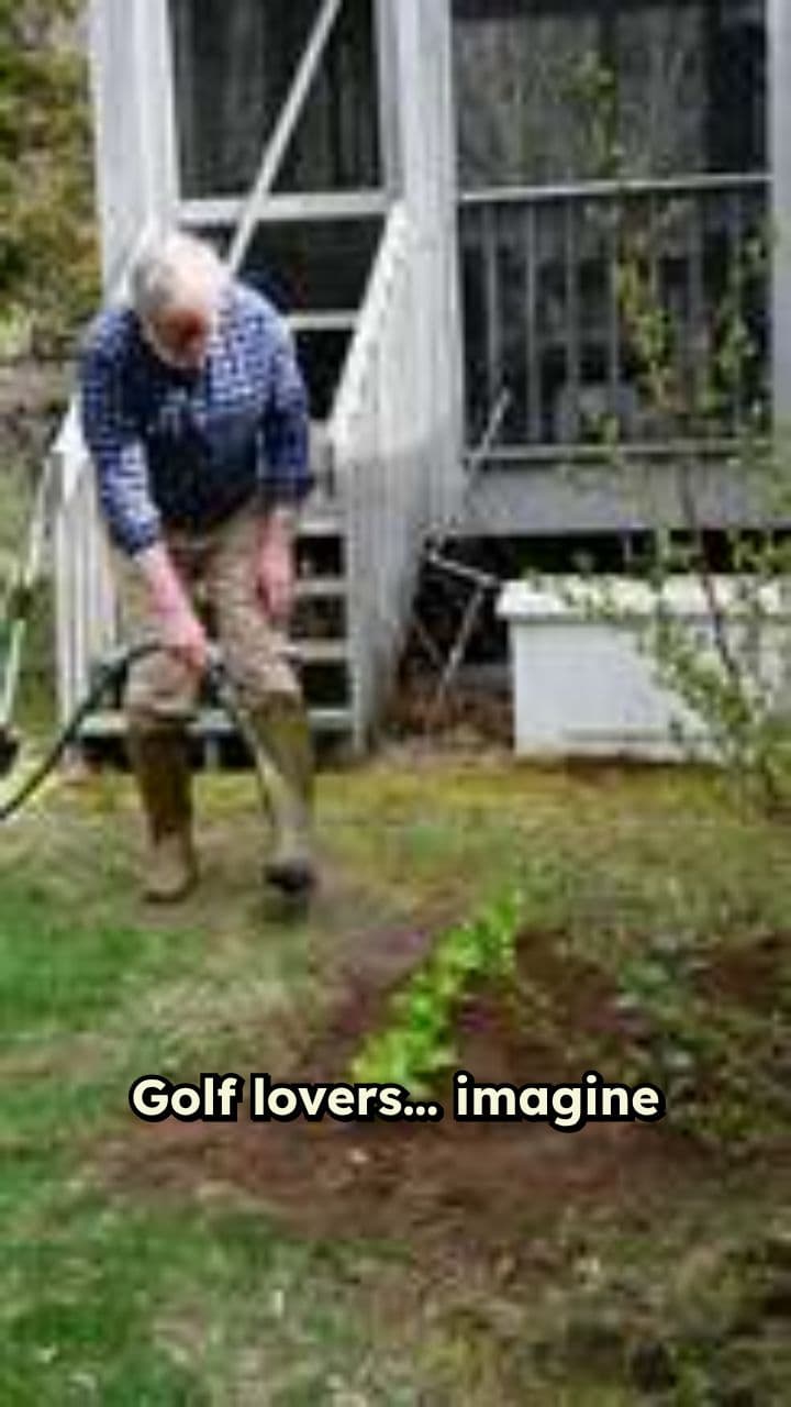 Transform Your Backyard with a Putting Green