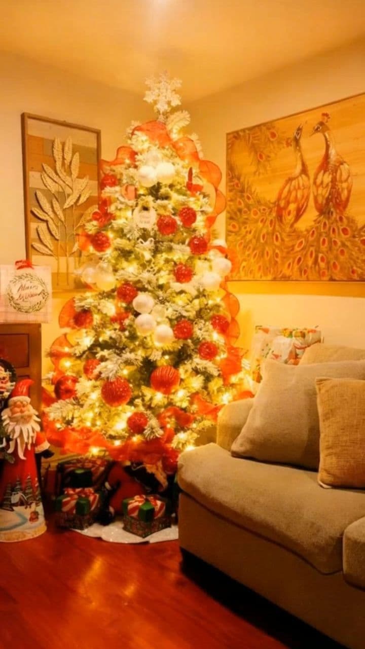 Image transform video