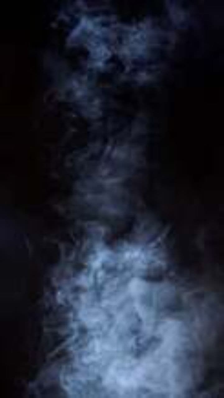 Energy Makes Them Run