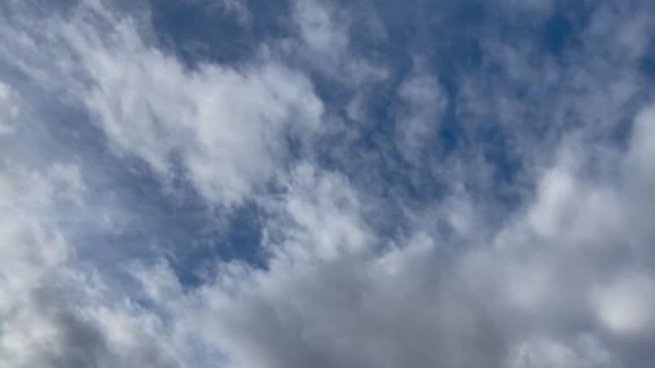 Master the Flow: Optimize Your Logistics