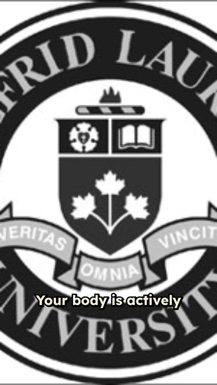 Understanding Muscle Strength Dynamics