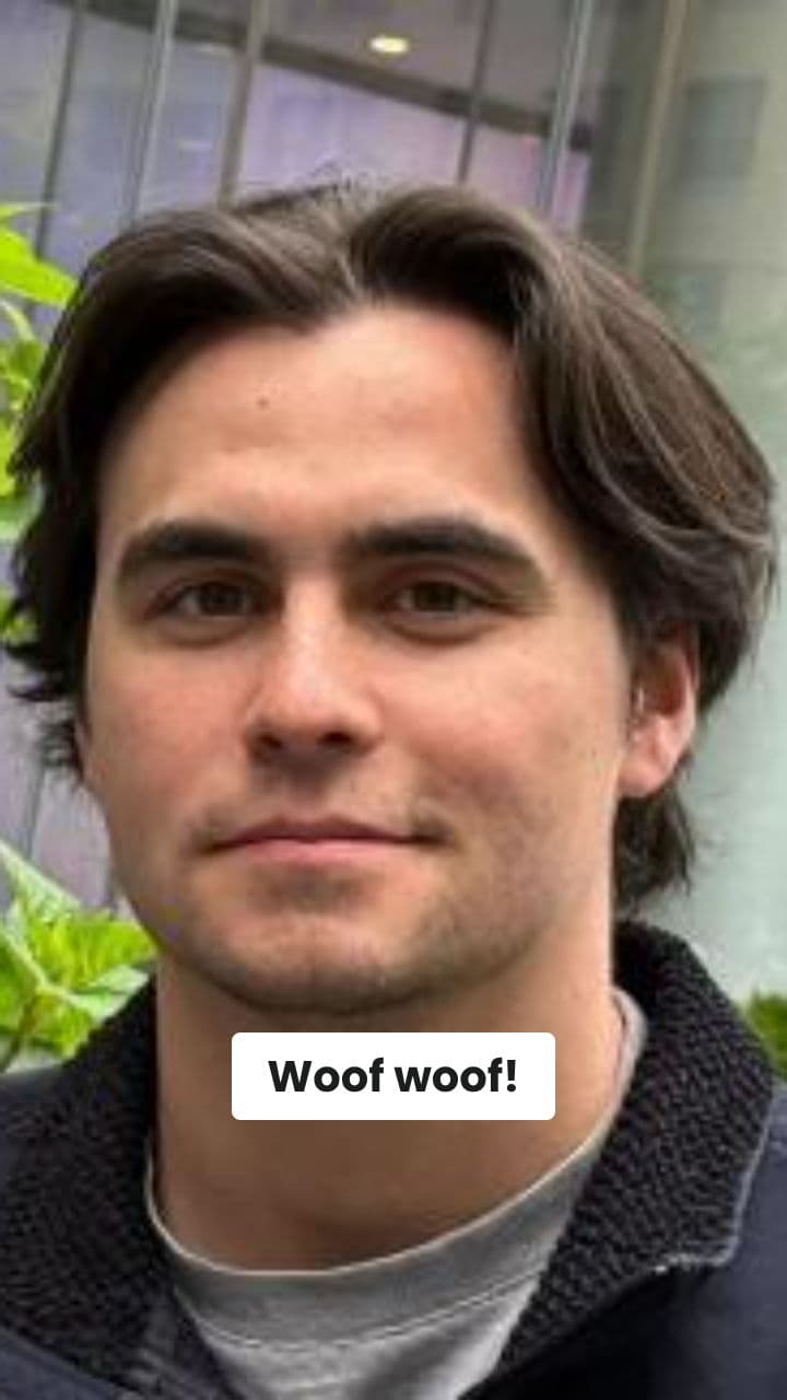 Funny Singing Dog Face Swap