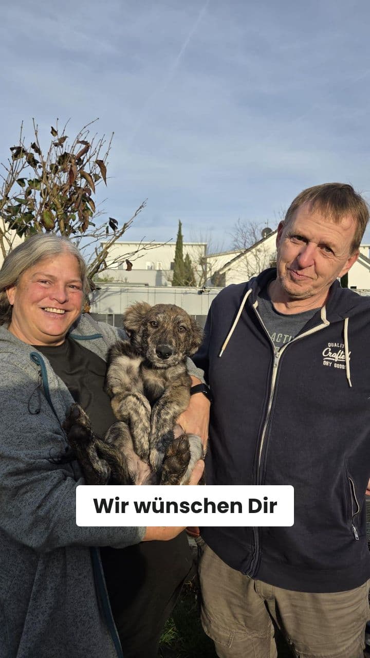 Geburtstagsgruß mit Tanz