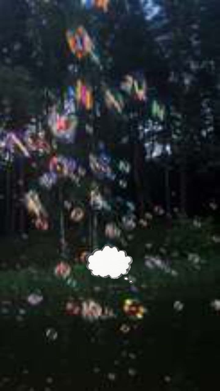 Белка и новогодний лес