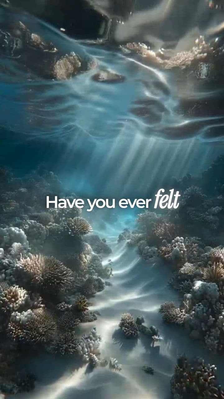 Book - 6) Your Phoenix Phase