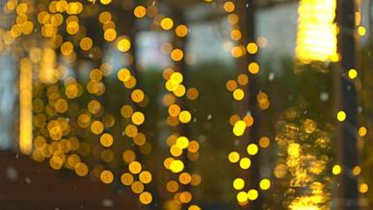 Yellow Christmas Delight