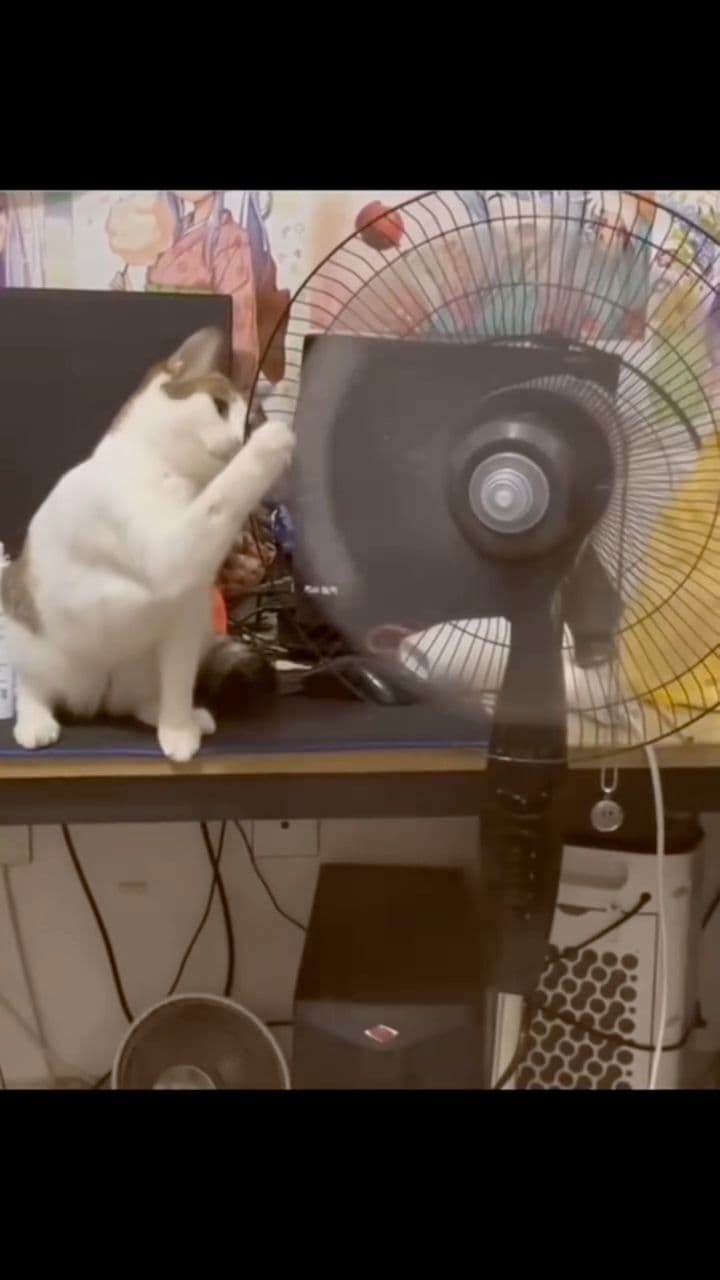 Fixing Monetization Issues: No Income Despite Views