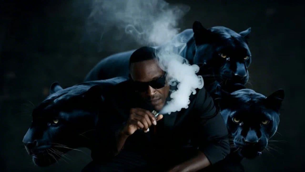 Image transform video