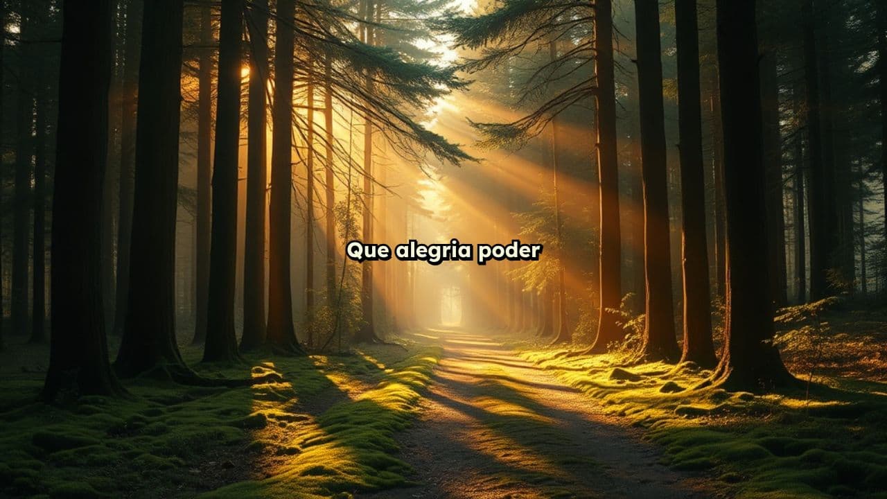 Luz e Transformação na Caminhada Espiritual