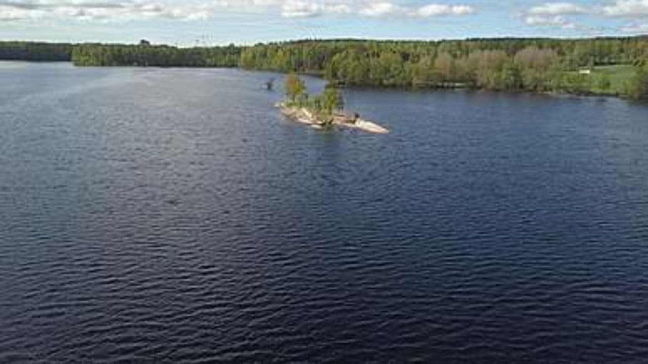 The Taiwan Miracle: Resilience and Innovation