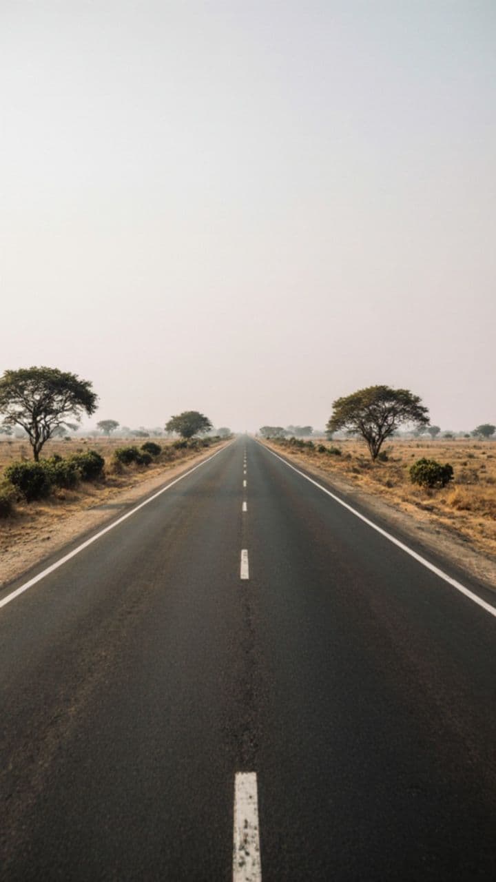 सड़क हादसे में बुजुर्ग की मौत