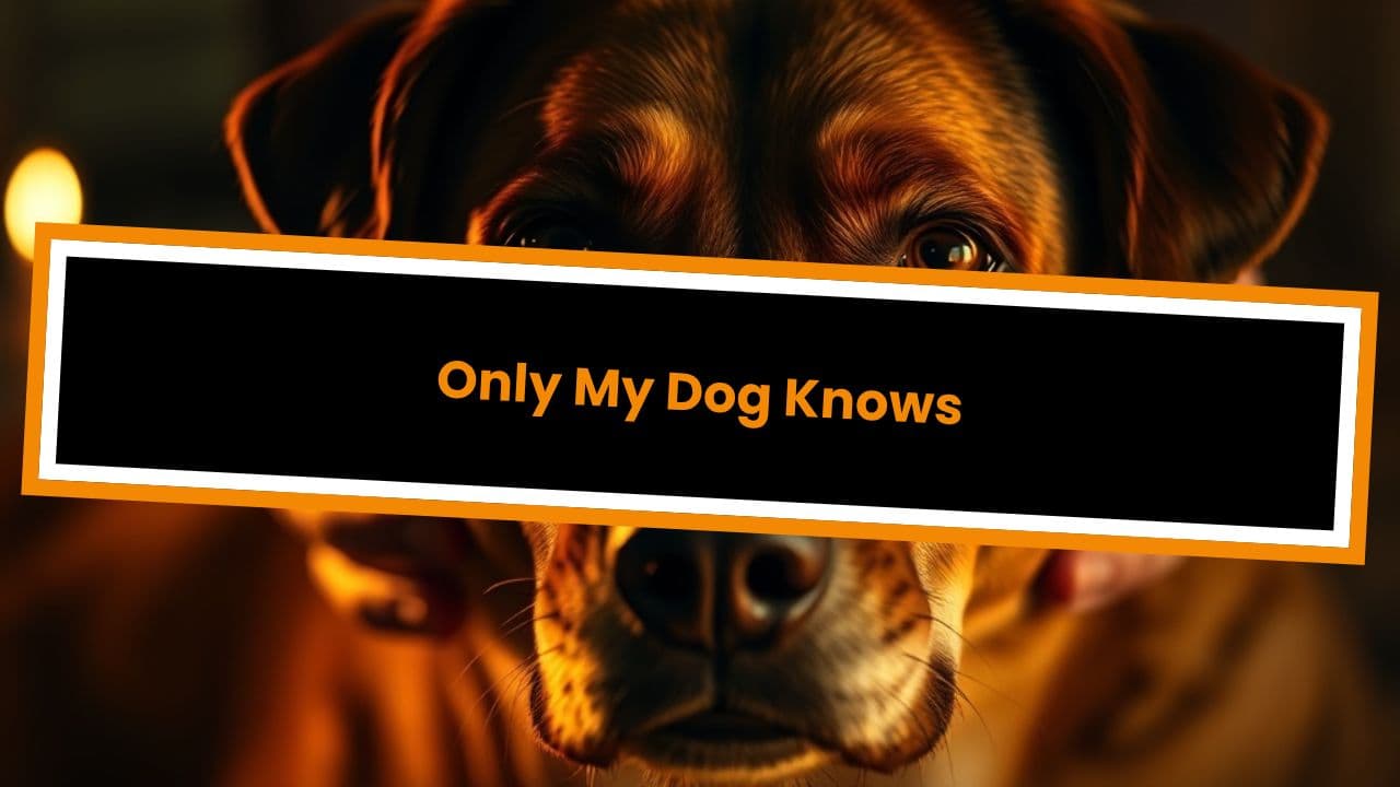 Only My Dog Knows