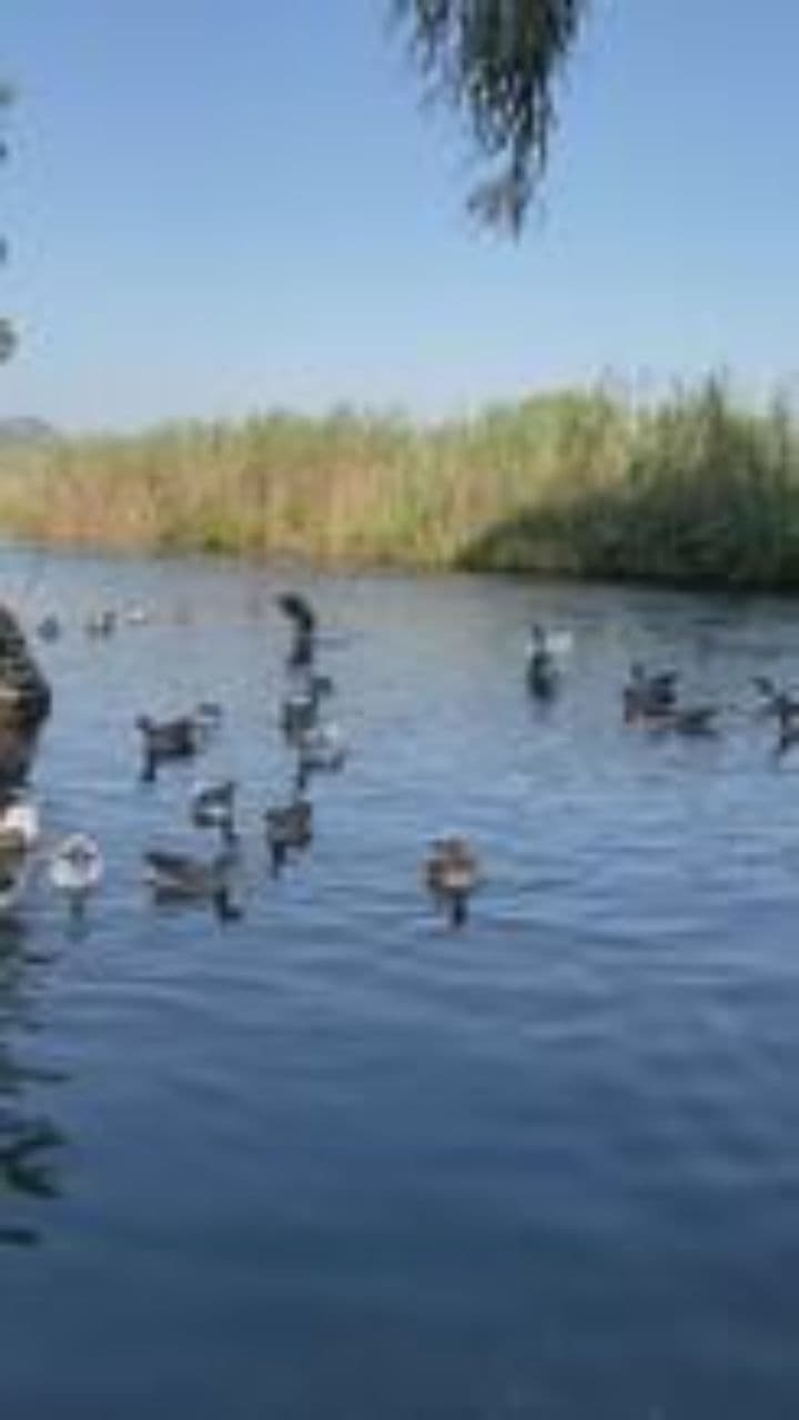 Fishing Warriors of the Fjords