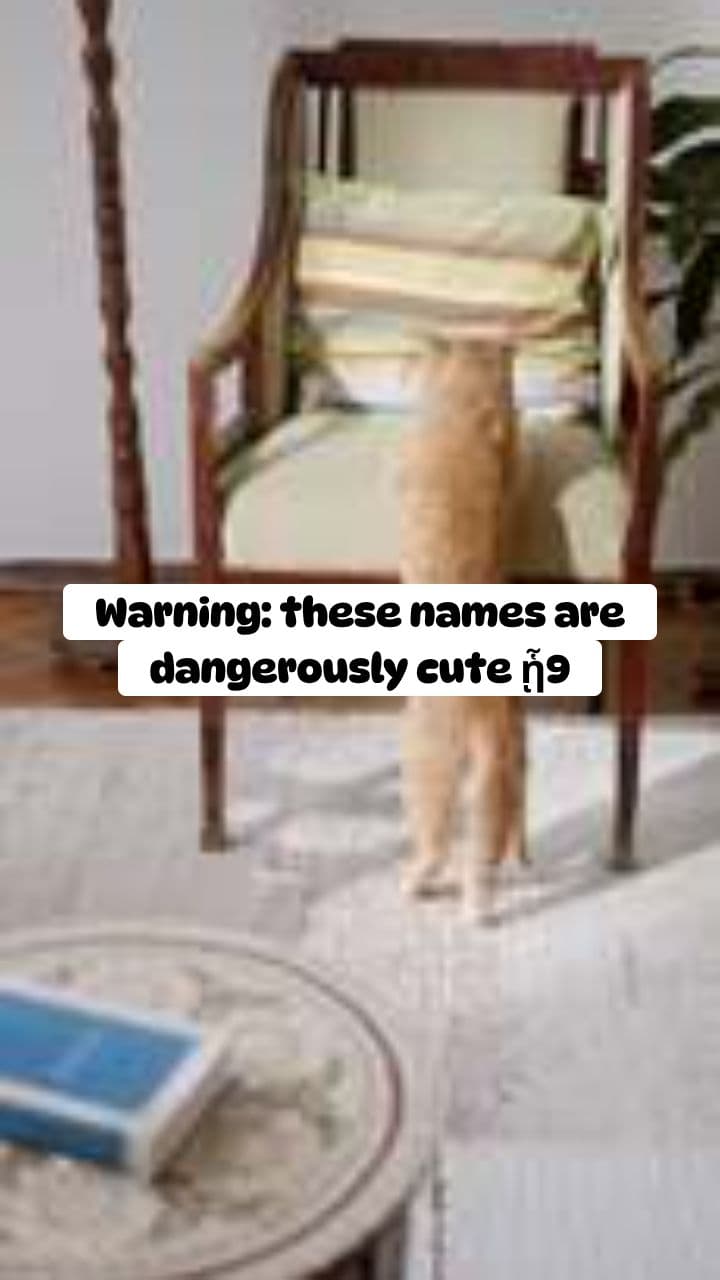 Dangerously Cute Cat Names