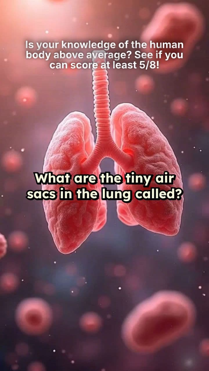 Is your knowledge of the human body above average? See if you can score at least 5/8!