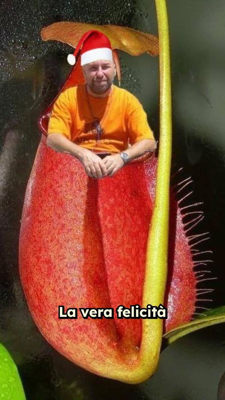 La vera magia del Natale