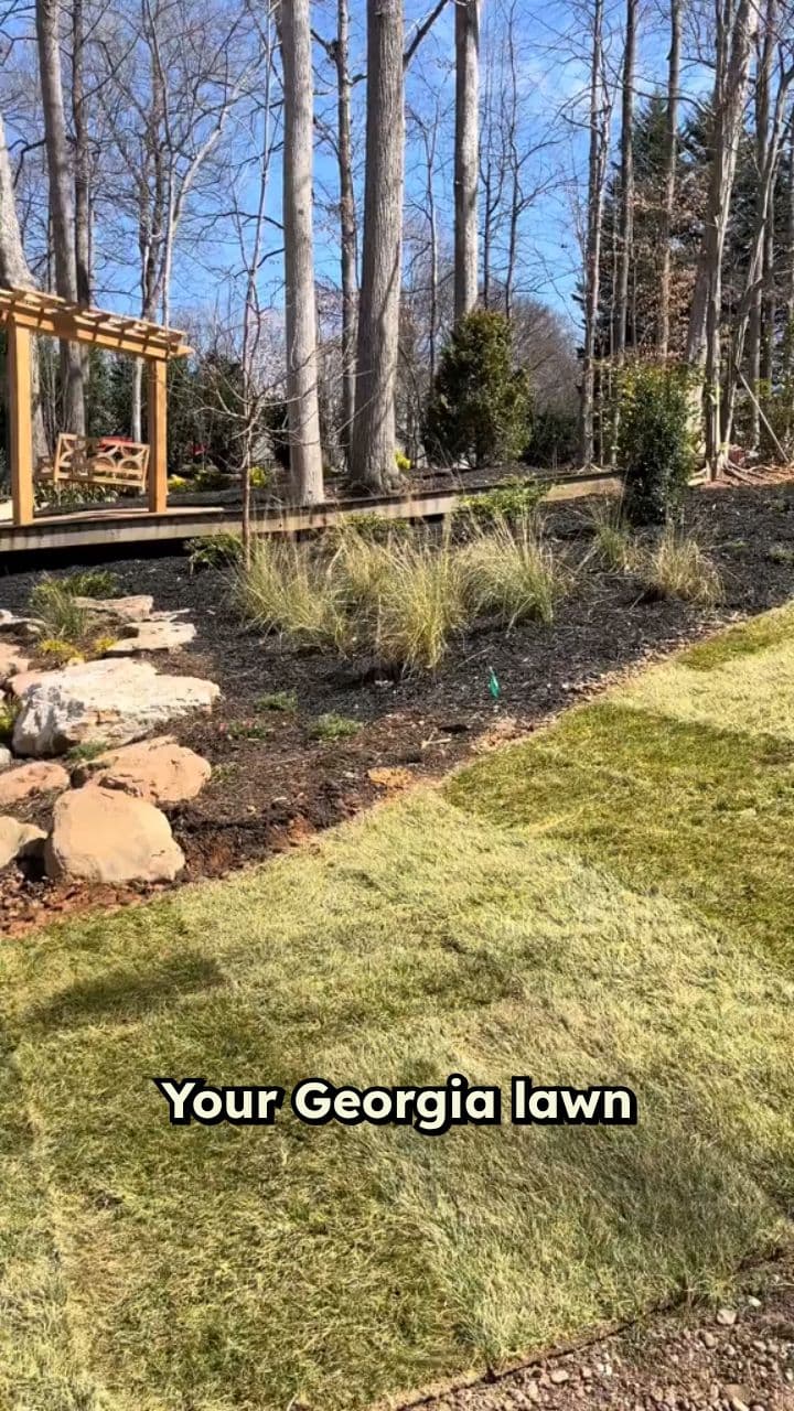 Transform Your Lawn in One Day