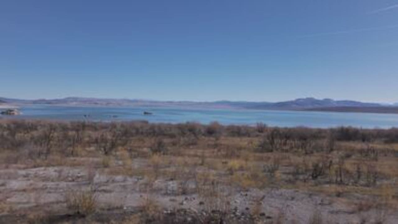 Tu a teraz: Čistá frekvencia