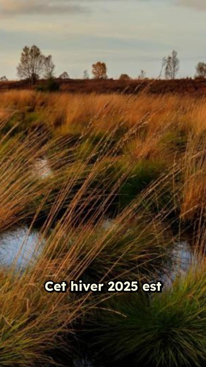 Profitez d'un hiver doux avant Noël