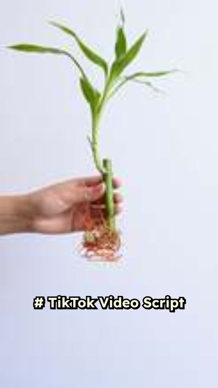 Simple Healthy Bowl in Seconds