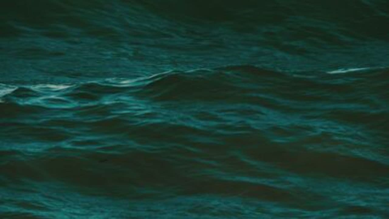 Back to Our Blue Sea