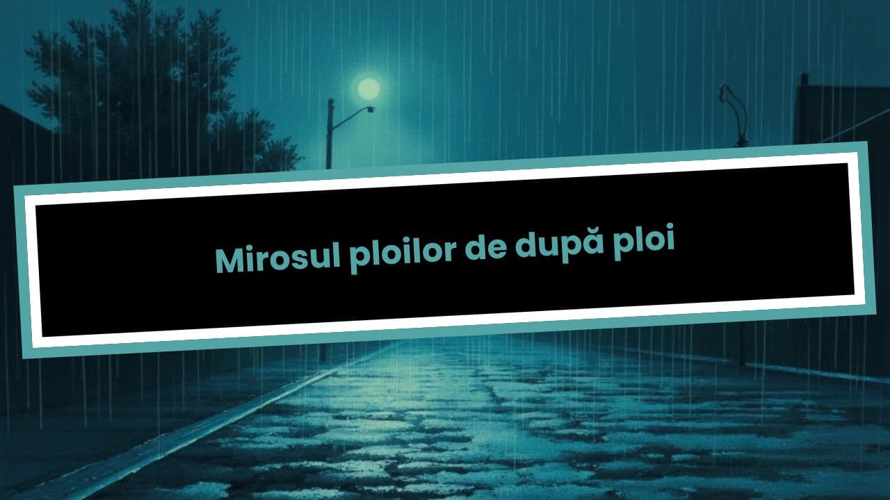 Mirosul ploilor de după ploi