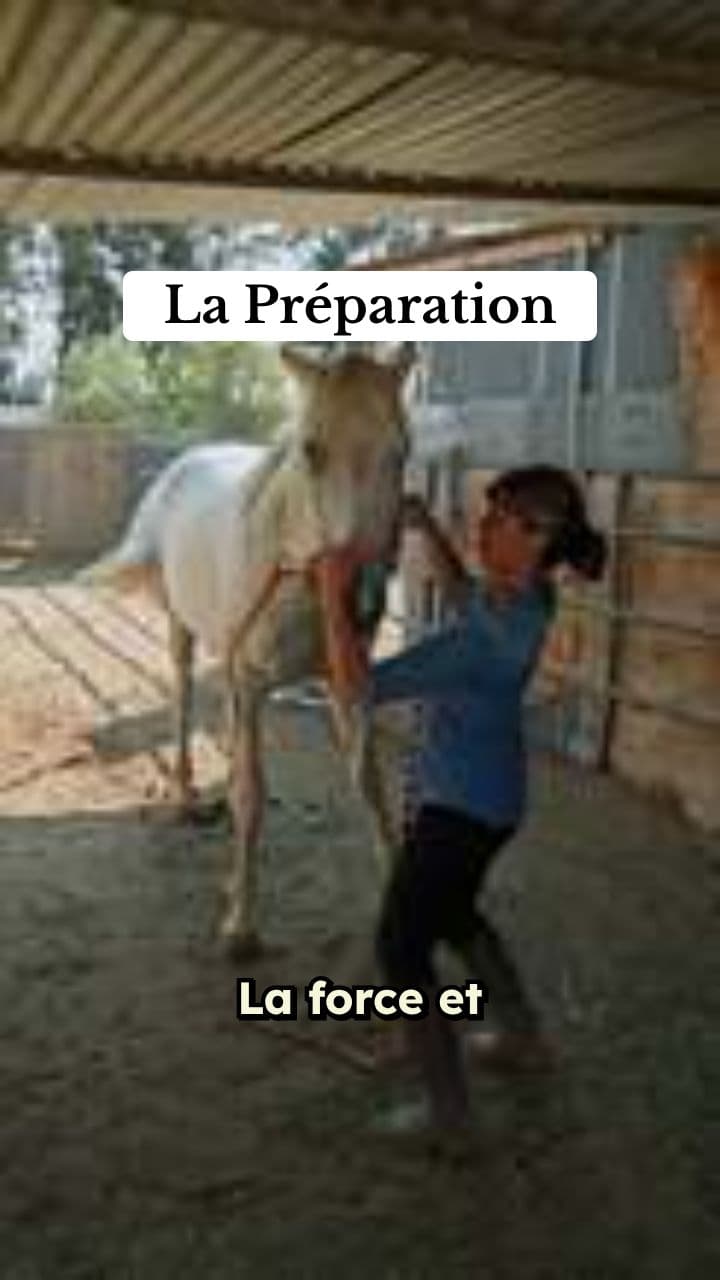 L'Envol du Destrier Noir