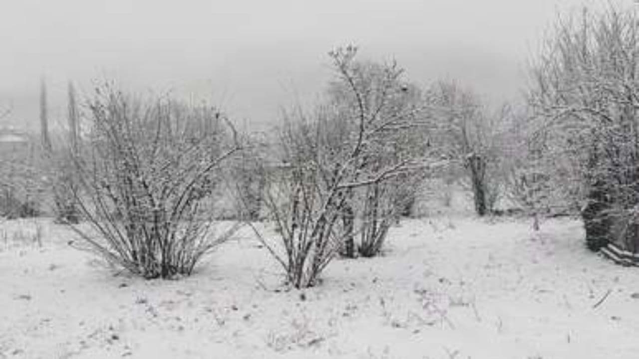 Январский свет надежды