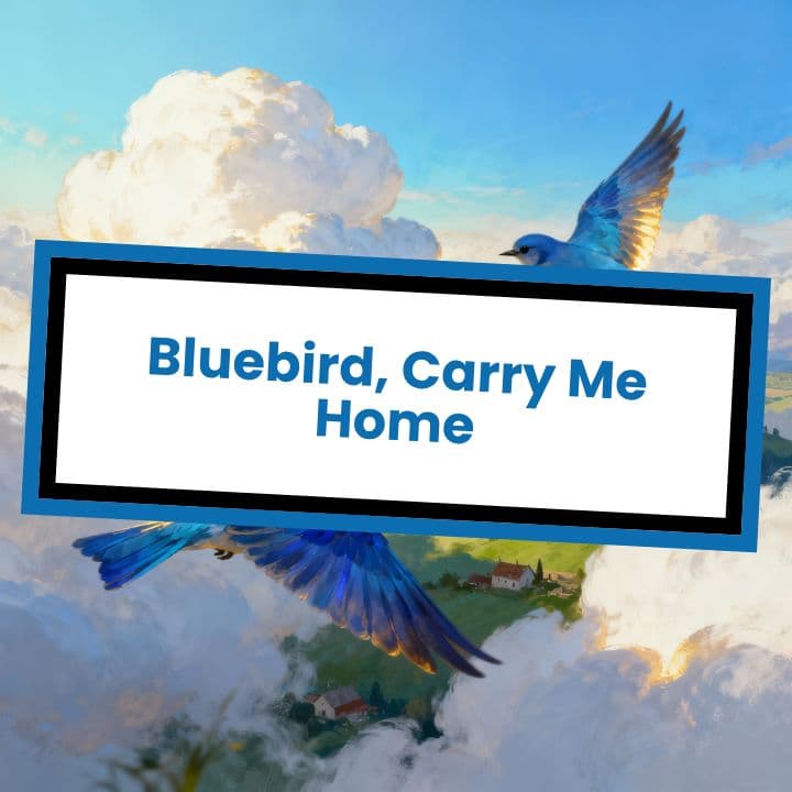 Bluebird, Carry Me Home