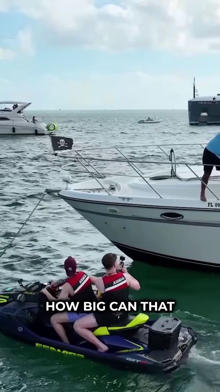 Exploring the $1 Billion Floating City