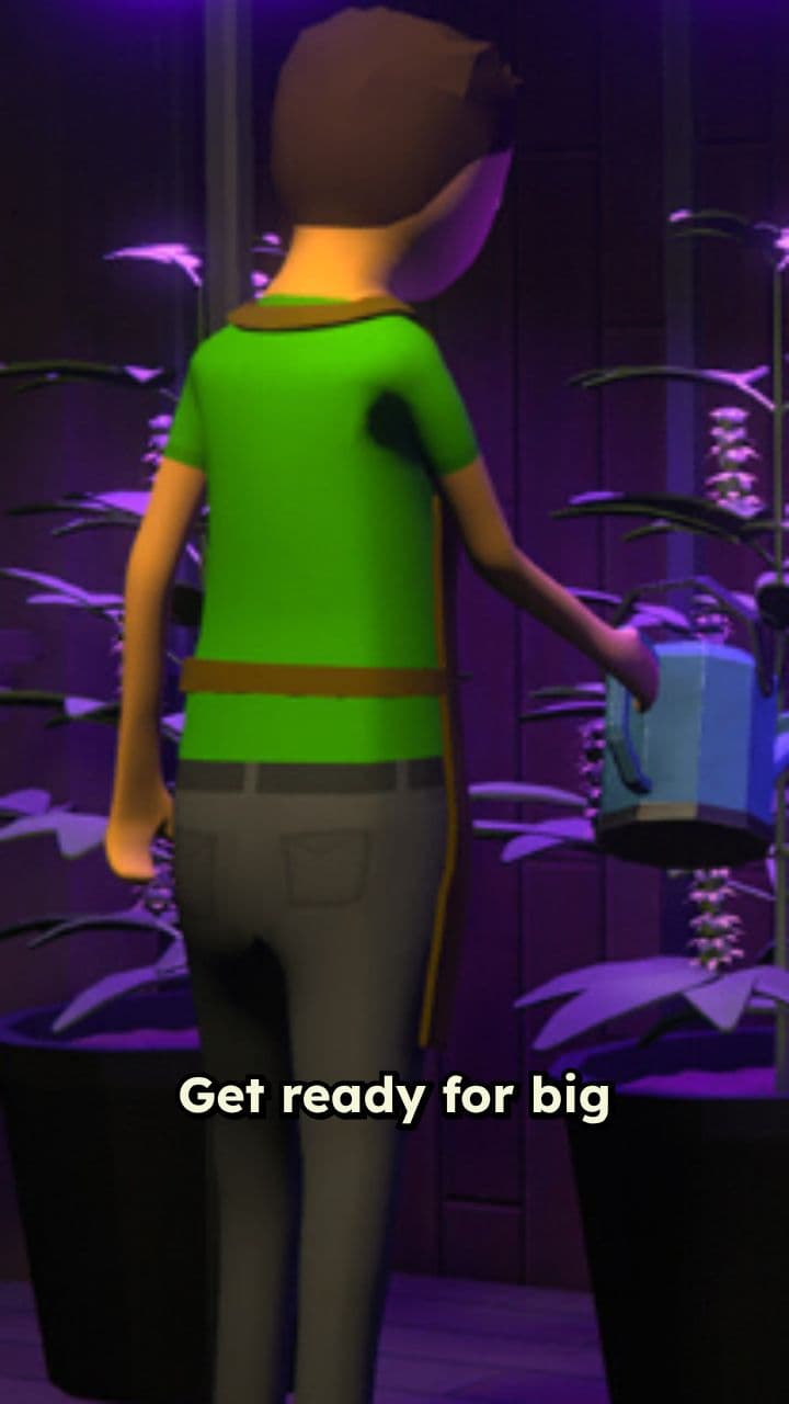 Schedule 1 Expands Team, Patch Incoming