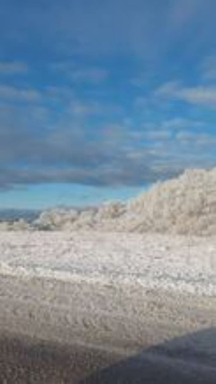 Zimowe przygody Tośka