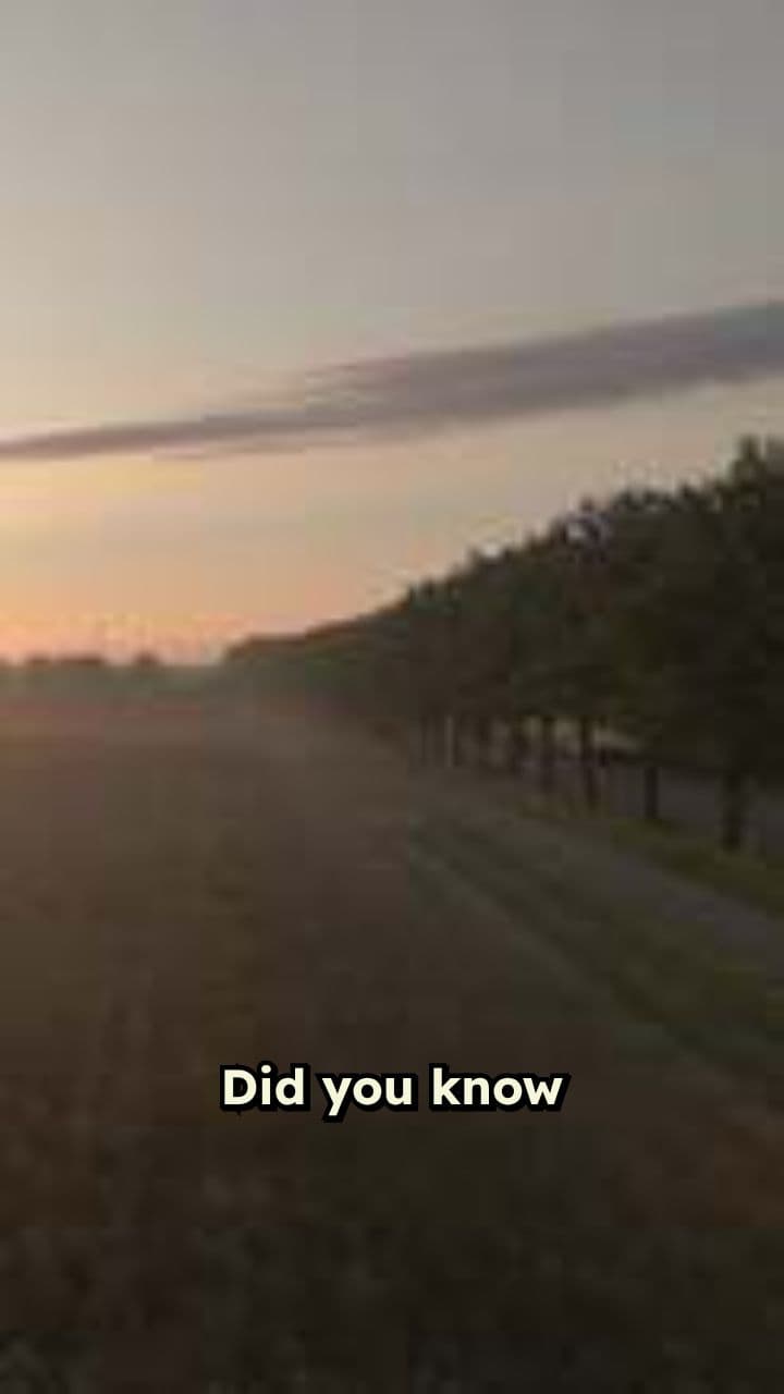 Japan's Silent Residents: The Scarecrow Villages