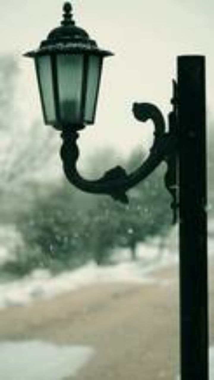 Корабль чувств