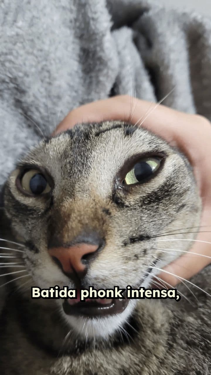 Energia Caótica do Phonk