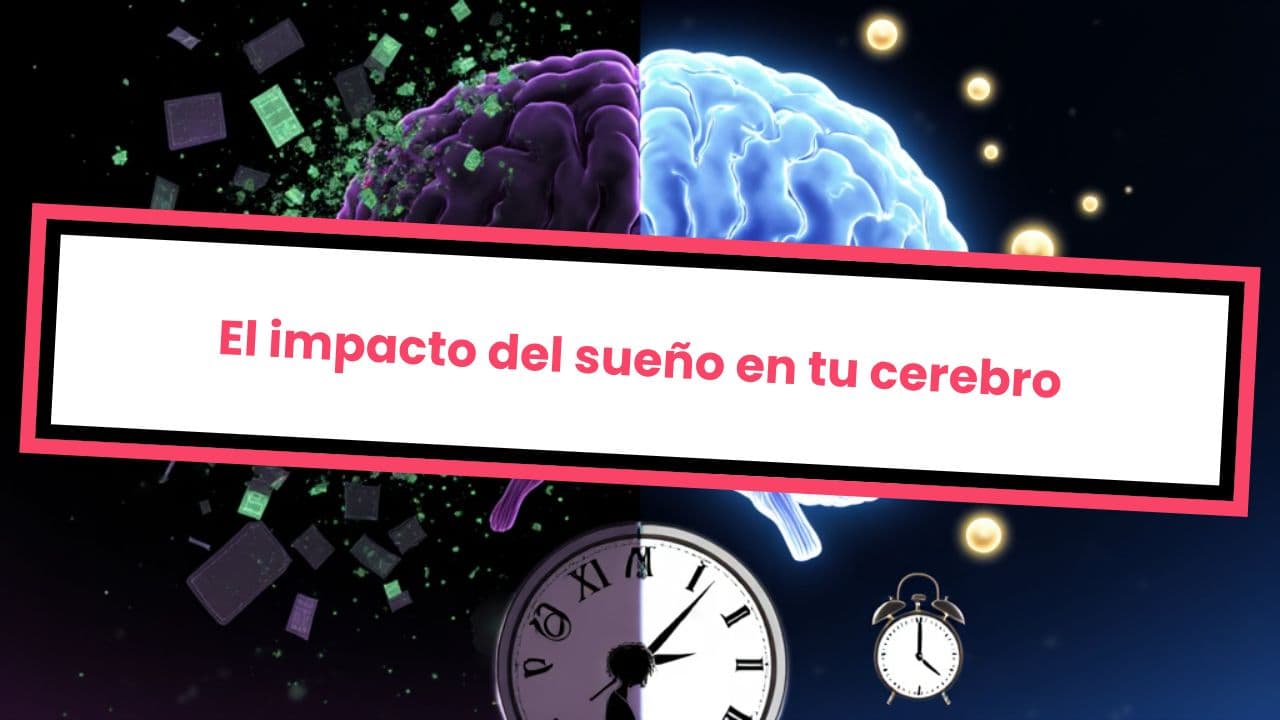 El impacto del sueño en tu cerebro