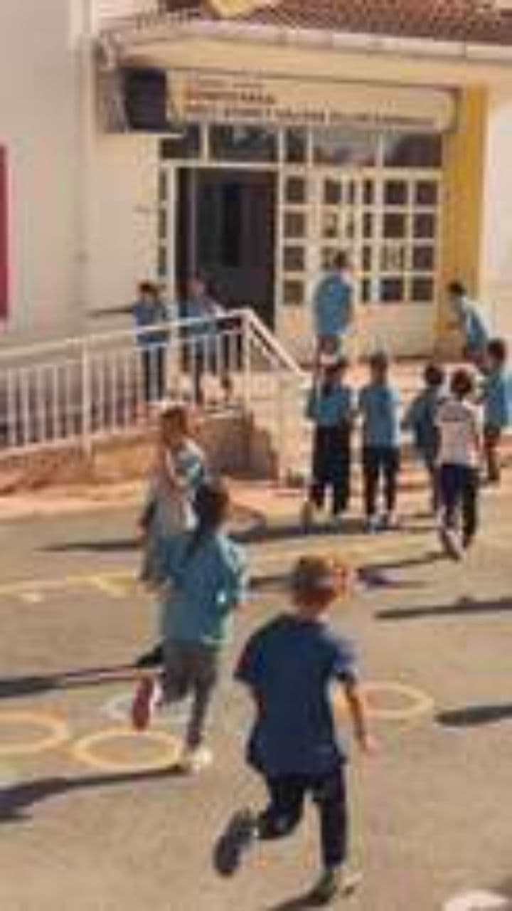 Alla Chiereghin: Un Mondo di Magia