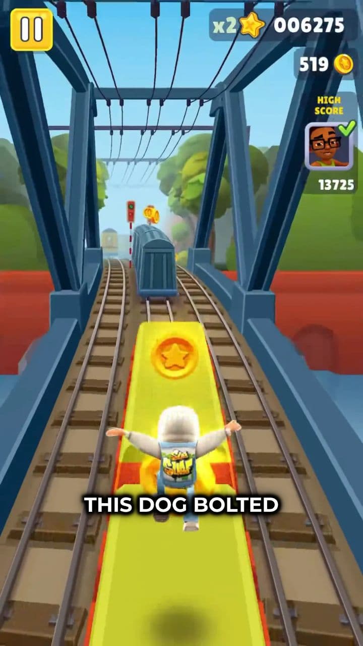 Dog Sacrifices Life to Save Child