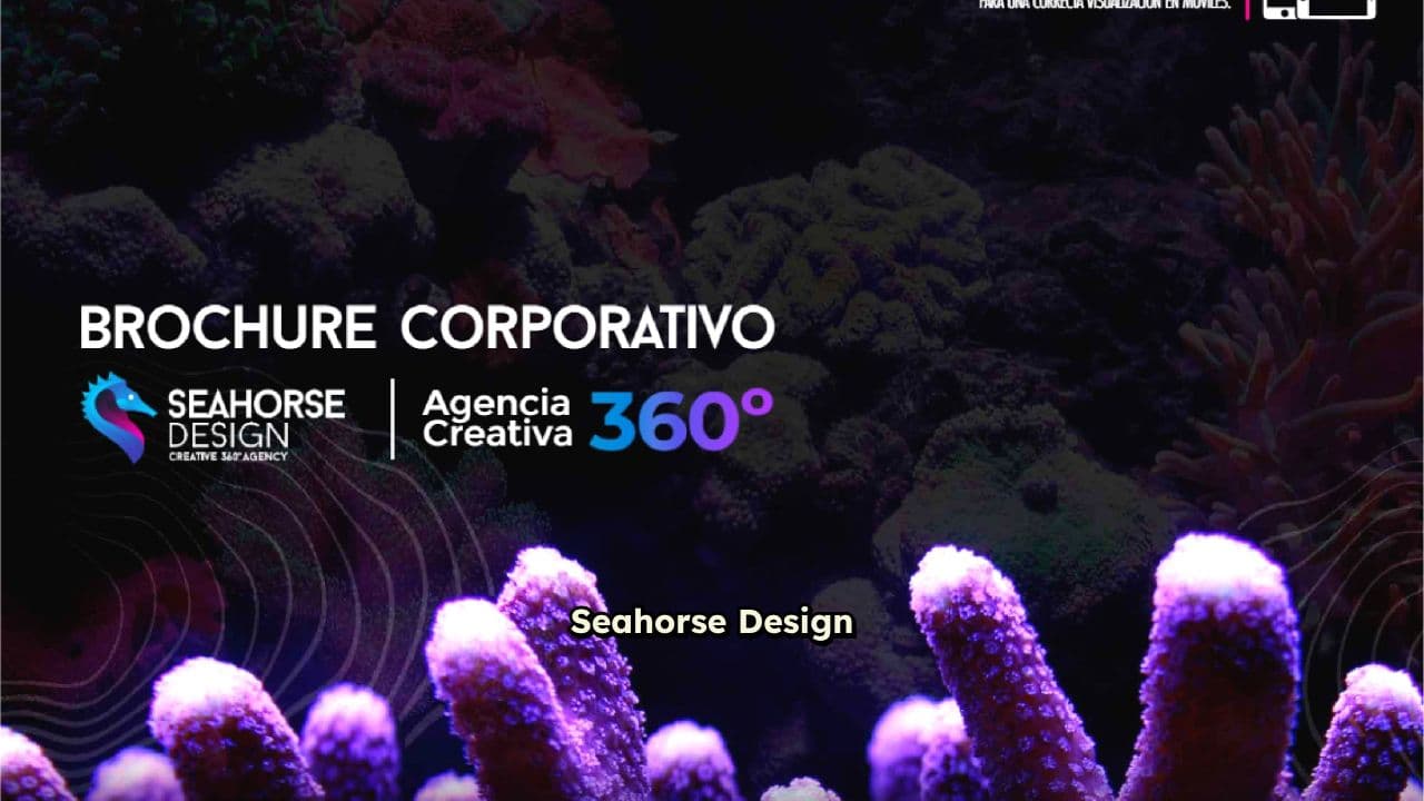 Transformación de marcas con creatividad total