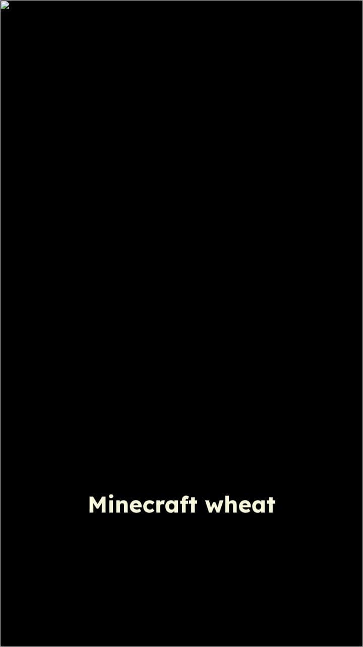 Minecraft Wheat: Fast Growth, Dead Soil