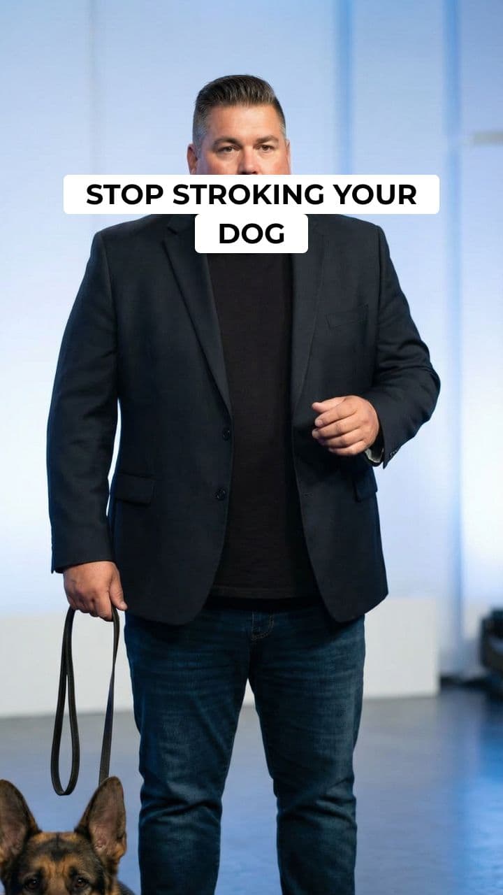 Reactive Dog Training Secret