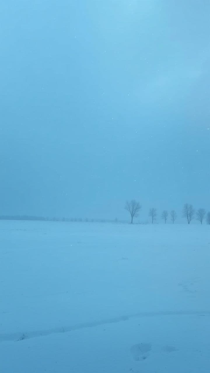Первый снег и радость встреч