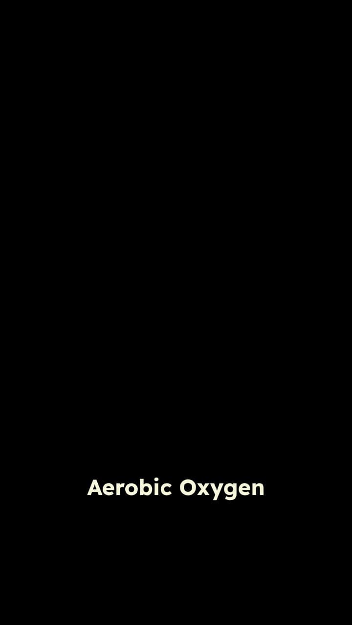 Aerobic vs. Anaerobic Respiration
