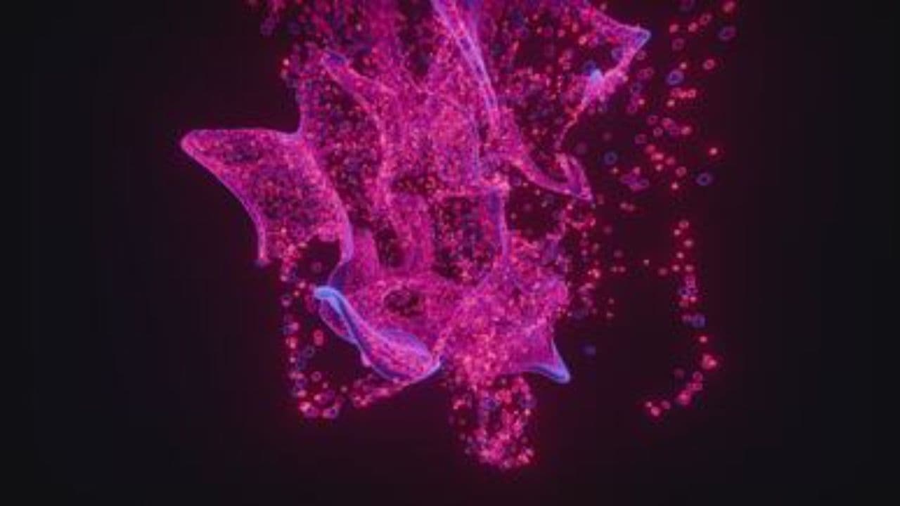 Ethereal Journey Through Ambient Soundscapes