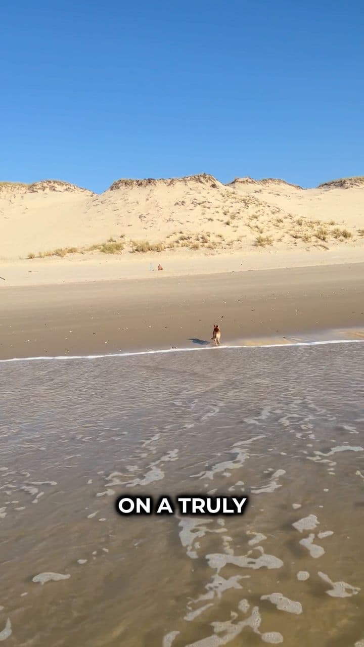 Une journée parfaite à la plage