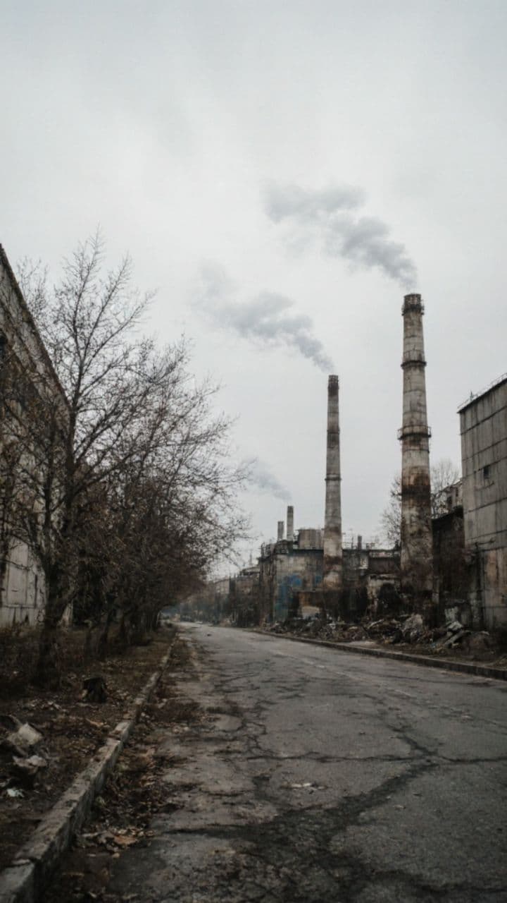 17 वर्षीय नाबालिग बालिका मिली